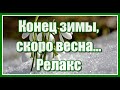 Пусть заберёт зима невзгоды и печали, и пусть растают все болезни без следа...