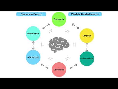 Psicopatología de los trastornos psicóticos (Dr. Igor Aedo)