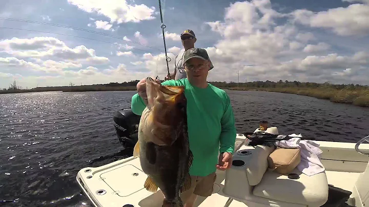 Amelia Island Lofton Creek bass