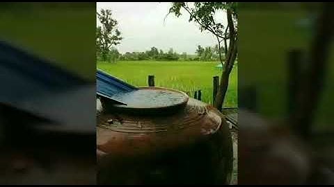 Ai còn nhớ không? Những ký ức tuổi thơ đẹp.