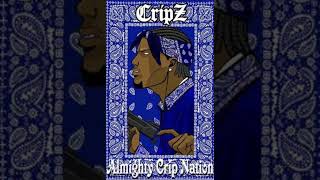 FBEAM 23 CRIP GANG BLUE CARTEL ANTHEM WEST SIDE AVONDALE 2 OTABLUE SOUTH SIDE CRIPS UP