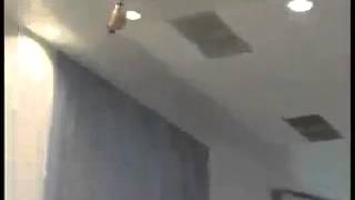 De dildocopter