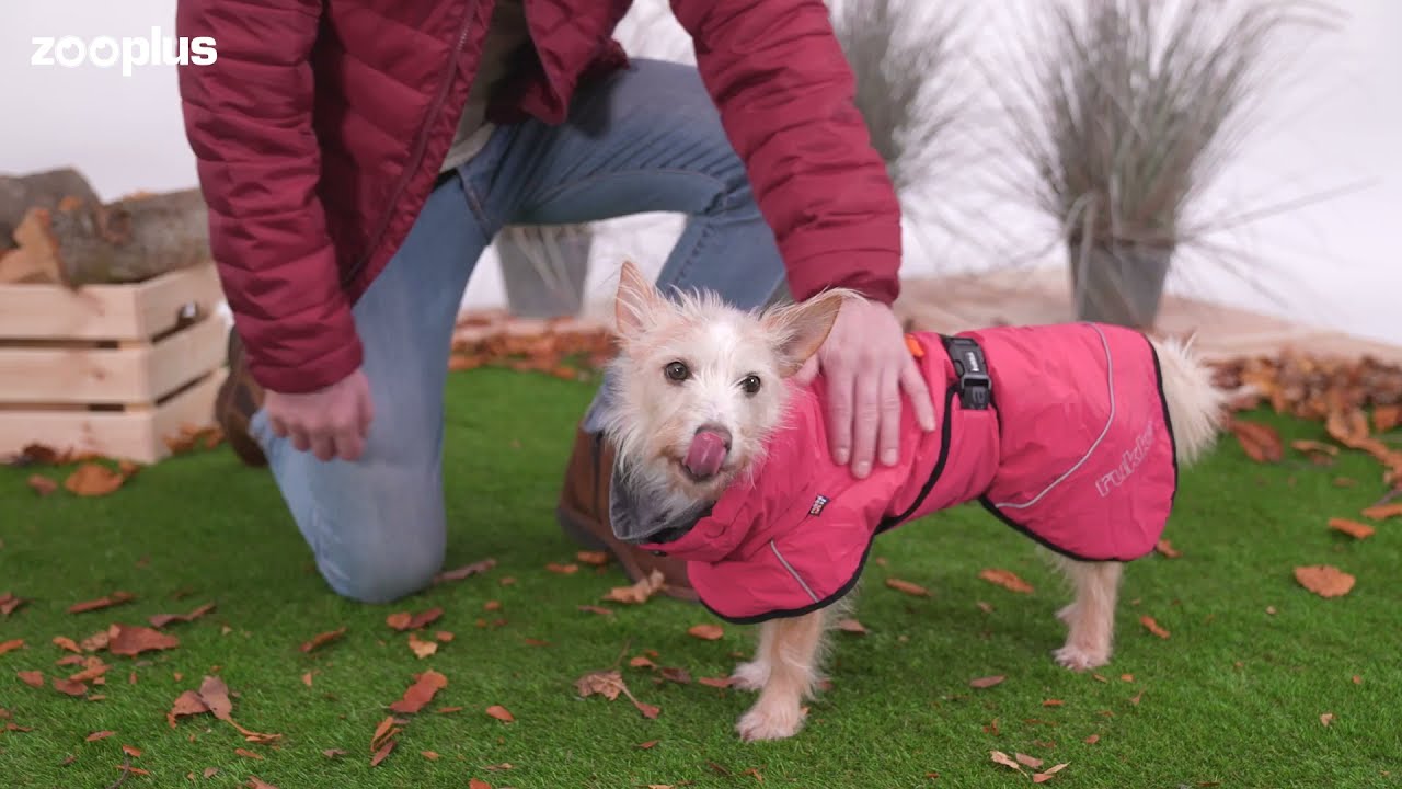 Rukka Warmup Hundemantel, pink