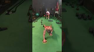 Dynamic Push-up workout. For the Live of Health/Fitness