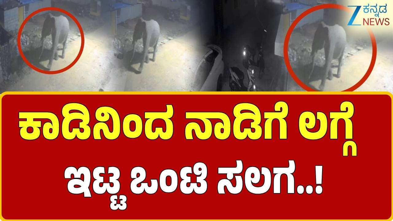 Anekal | Elephant attack | ಕಾಡನೆ ದಾಳಿಗೆ ಕಾರು ಸೇರಿದಂತೆ 2 ಬೈಕ್ ಜಖಂ | Zee Kannada News