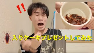 【ドッキリ】彼氏にゴキブリケーキ食べさせたらビビりすぎたwww