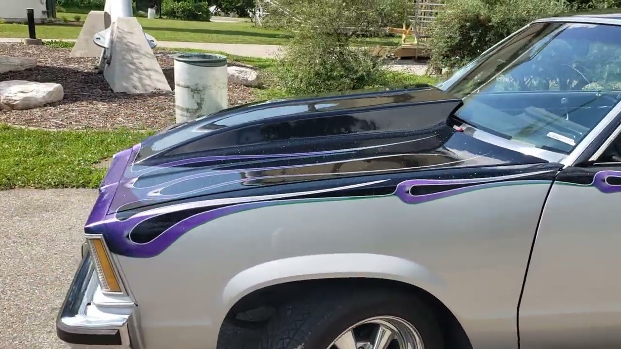 1978 Chevrolet Malibu w/custom paint FOR SALE