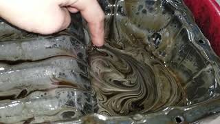 Ferrofluid made by engine failure