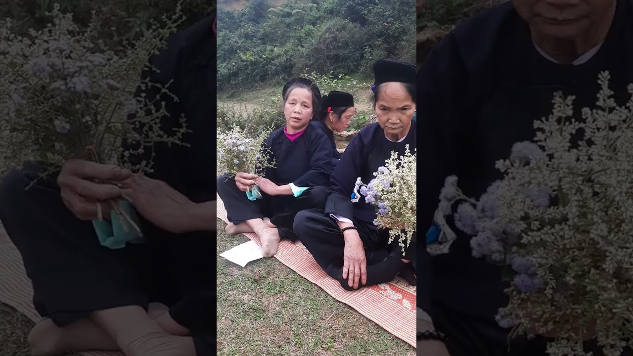 Hát lợn 4 thân giáp