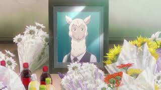 Beastars Amv - Ho Ucciso Il Mio Angelo - Tems Killer Spoiler