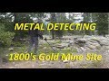 Metal Detecting Old Colorado Gold Mining Sites!