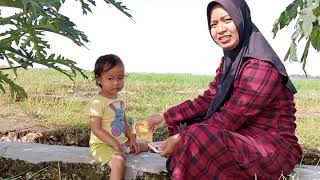  Album Negoro Angin  La Tasya Playlist Lagu Jawa Terpopuler 2026