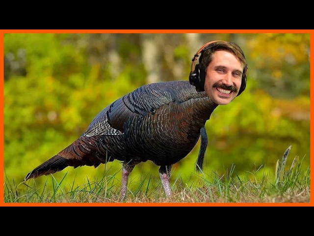 Thanksgiving Special - TheStandup - YouTube