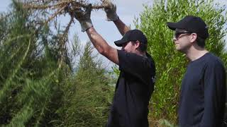 Volunteer Trip to Motuihe Island