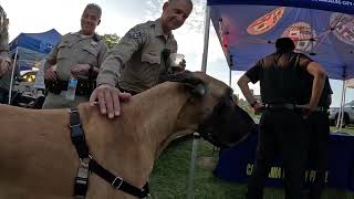Cash 2.0 Great Dane at the LAPD National Night Out in Northridge Park 2023 (1 of 2)