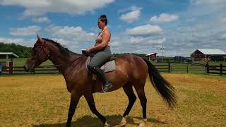 twooey back in work 6aug22