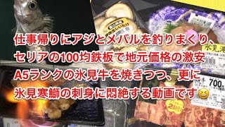 2021.01.28 仕事帰りにアジとメバルを釣りまくり、セリアの100均鉄板で地元価格の激安A5ランク氷見牛を焼きつつ、更に氷見寒鰤の刺身に悶絶する動画です?