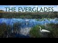 Florida Everglades. A Canoe Adventure.