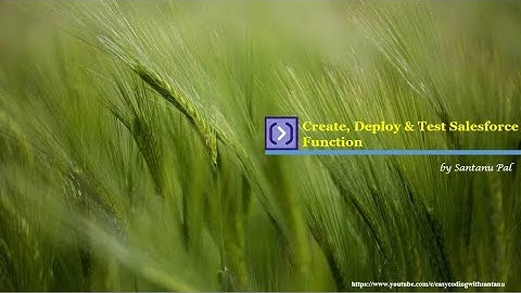 Create, Deploy & Test Salesforce Function