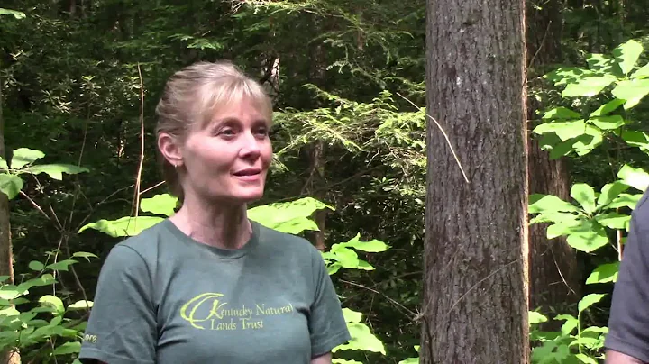 Blanton Forest:  OLD GROWTH EAST