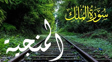 السورة المنجية من عذاب القبر سورة الملك ياسر الدوسري