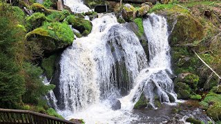 Самый большой водопад в Германии. WASSERFALL.TRIBERG.