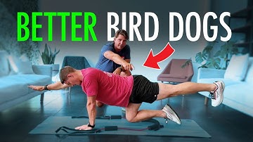 Bird Dog Exercises - Nail Great Technique and Variations