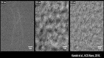 SLIM Enables Continuous Observation of Microtubules Without Photobleaching