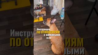 Мыло для лап на вб #WW172946 #собаки #гигиена