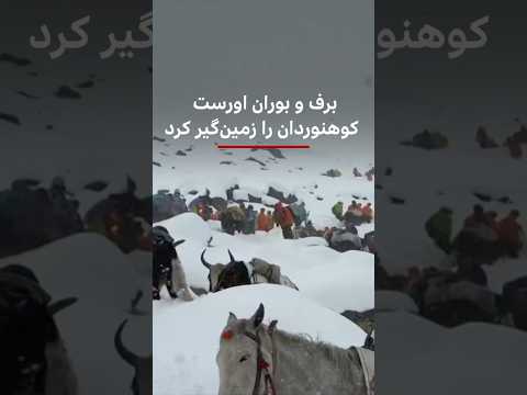 برف و بوران اورست کوهنوردان را زمینگیر کرد