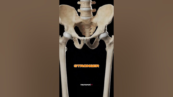 YOUR BONE IS STRONGER THAT STEEL Y#youtubeshorts ##mindblowingfacts  #humanbodyfacts