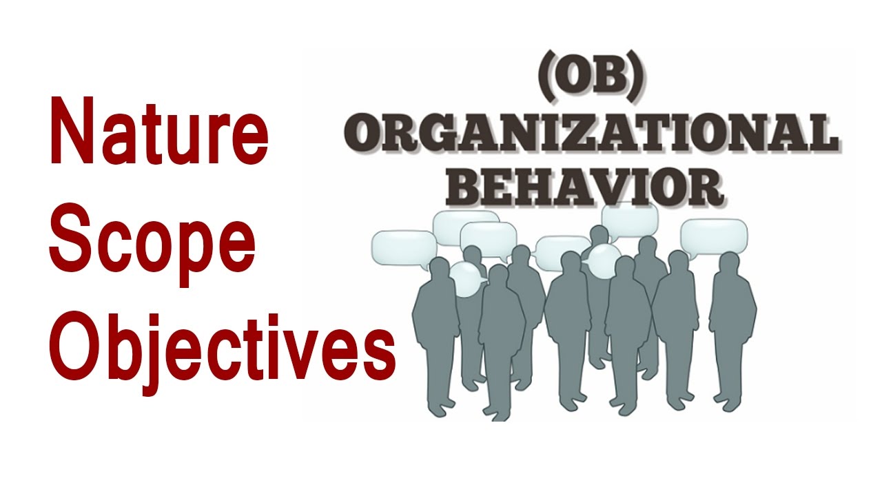Organisational Behavior Nature And Scope Hindi YouTube Organisational Behavior Nature And Scope Hindi YouTube