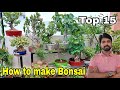 15 Easy plant Bonsai | How to make Bonsai | The One Page