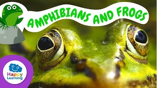 discover how frogs grow transform educational videos children