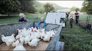 Ultimate Meat Supply: Harvesting 95 Chickens + 13 Turkeys for a Year's Worth of Food