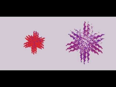 Beltrami flows: particle motion