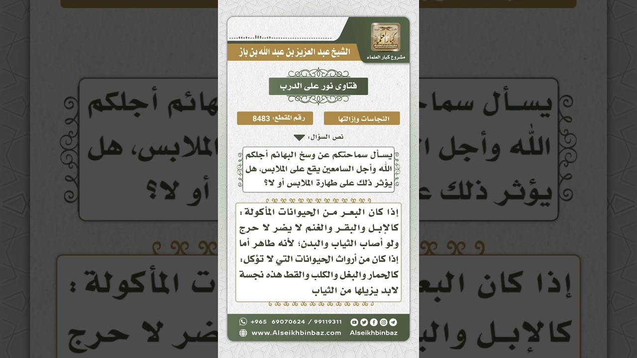 8483 - حكم بول وروث ما يؤكل لحمه وما لا يؤكل لحمه - نور على الدرب