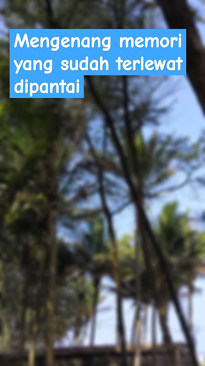 Beach💨 #pantai #viewalam #pohon #traveling #holidays #enjoy #dailyvlog #ngopi #makan #suaraalam #fyp