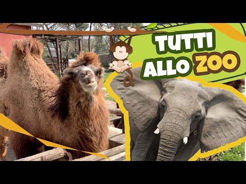 Video: Tema giardino zoologico - Come creare un giardino zoologico per bambini