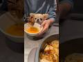 どうしてもお肉が食べたいピノ🥹 #shorts #ペキチワ #犬のいる暮らし #すき焼き #chihuahua