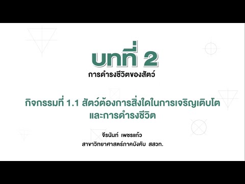 วีดีโอ: ความผิดปกติของเซลล์ต้นกำเนิดจากการพัฒนาและการเจริญเติบโตที่ผิดปกติในสุนัข