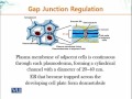 BIO734 Advances in Cell Biology Lecture No 119