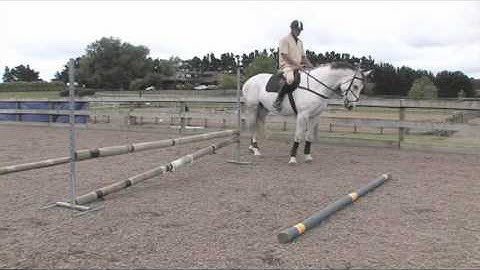 StableMate Equine TV: EP 12 - Simple gridwork jump