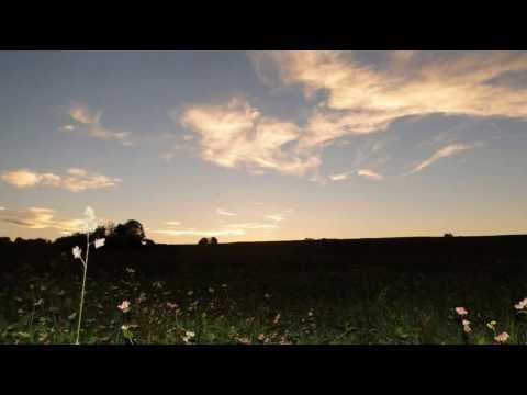 DJ Darwish Live Shpongle Concert Israel