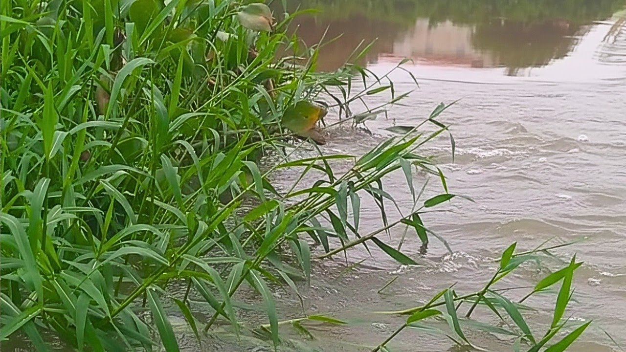 RIO SALGADO HOJE:Atualização 26/02  Você Não Vai Acreditar