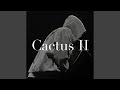 Cactus 2 Cactus 2