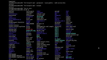 Installing a basic DNS Server into CentOS 8 Linux, with test - 6’ Networks, LLC