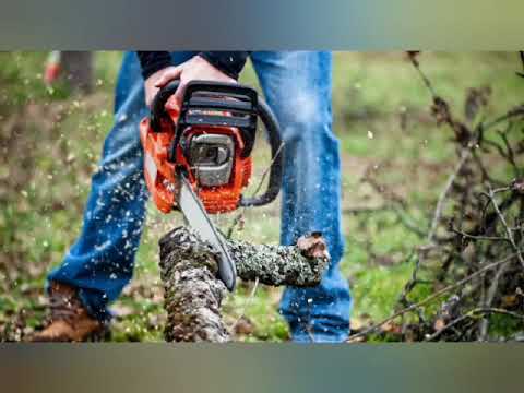 წყალტუბოს N4 საჯარო სკოლის მე-4 კლასის მოსწავლეებმა ხალხური ლექსის შესწავლისას ნამუშევრები მოამზადეს
