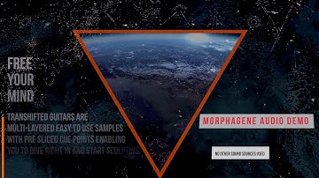 TranSHIFTED Guitars microSD for Eurorack