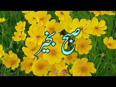 SUBHA BAKHAIR URDU VIDEO CLIP/SUBHA BAKHAIR WHATSAPP VIDEO STATUS/POWER LINES 17 August 2018